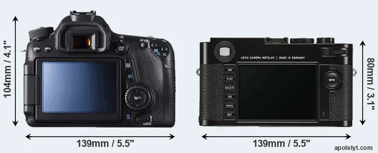 Comparison 70D or M Typ 262 rear