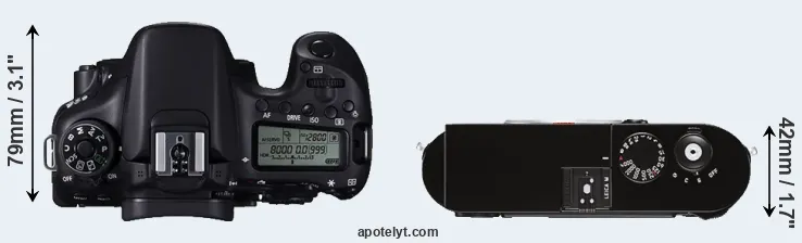 Compare 70D versus M Typ 262 top