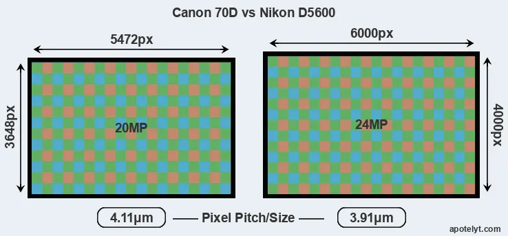 70D versus D5600 MP