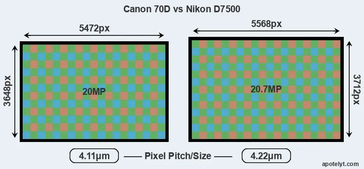 70D versus D7500 MP