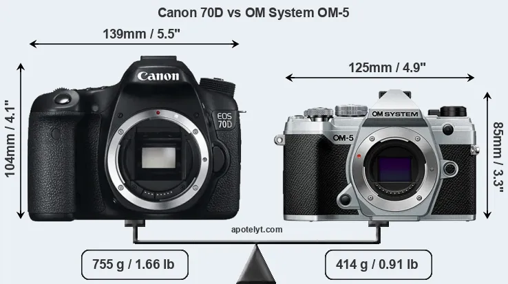 Size Canon 70D vs OM System OM-5
