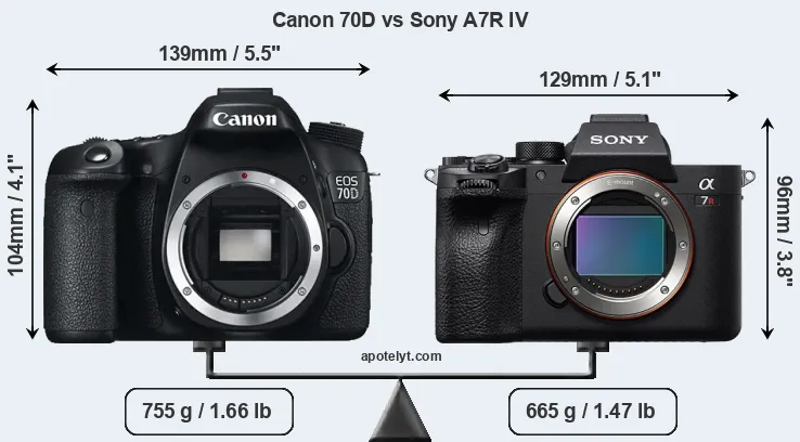 Size Canon 70D vs Sony A7R IV