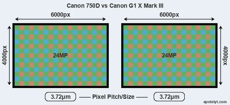 750D versus G1X Mark III MP