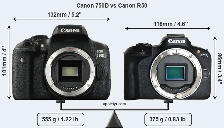 Size Canon 750D vs Canon R50