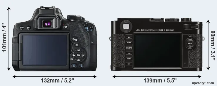 Comparison 750D or M Typ 262 rear