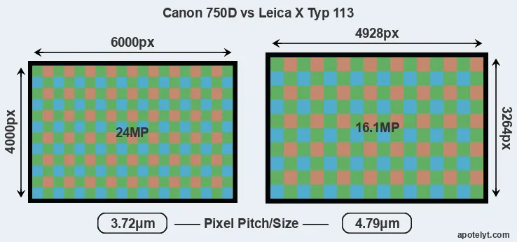 750D versus X Typ 113 MP