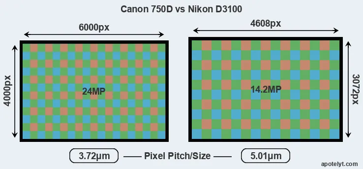 750D versus D3100 MP