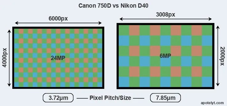 750D versus D40 MP