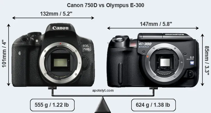 Size Canon 750D vs Olympus E-300