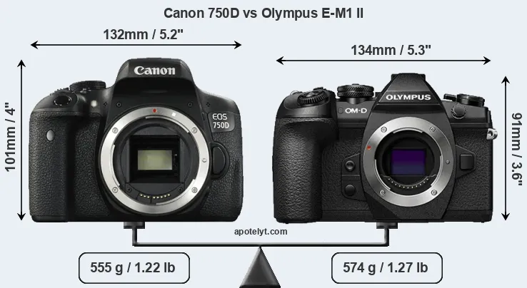 Size Canon 750D vs Olympus E-M1 II