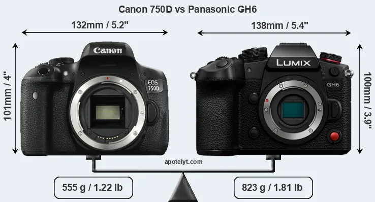 Size Canon 750D vs Panasonic GH6