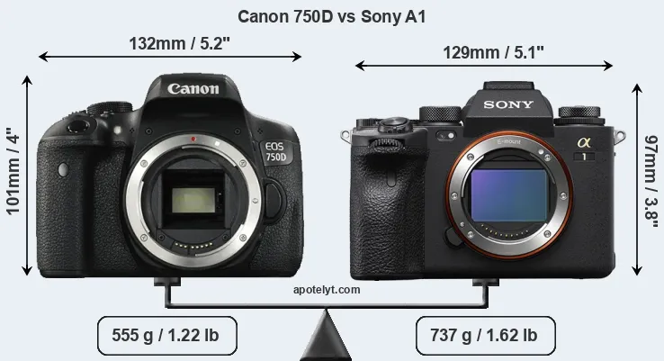 Size Canon 750D vs Sony A1