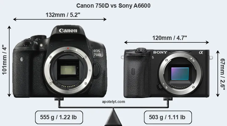 Size Canon 750D vs Sony A6600