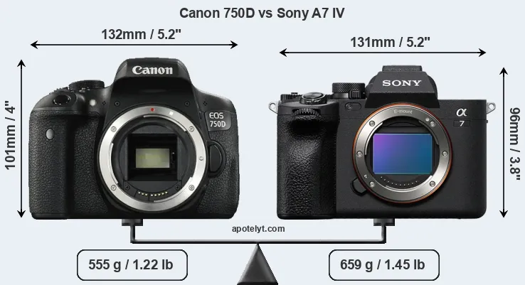 Size Canon 750D vs Sony A7 IV