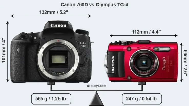 Size Canon 760D vs Olympus TG-4