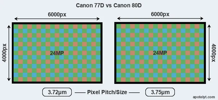 77D versus 80D MP