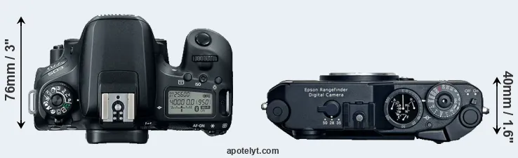 Compare 77D versus R-D1 top
