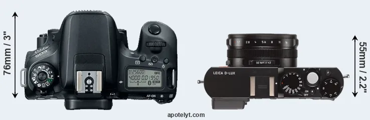 Compare 77D versus D-LUX Typ 109 top