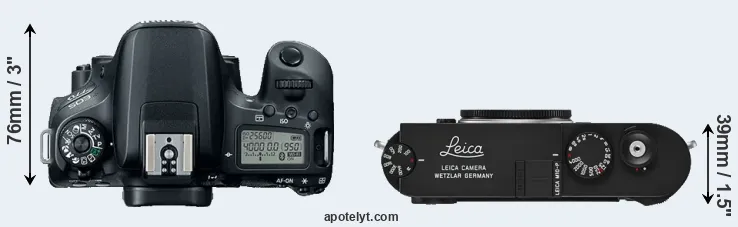 Compare 77D versus M10-P top