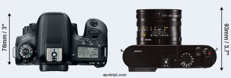 Compare 77D versus Q Typ 116 top