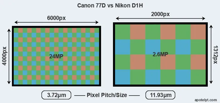 77D versus D1H MP