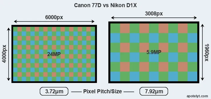 77D versus D1X MP