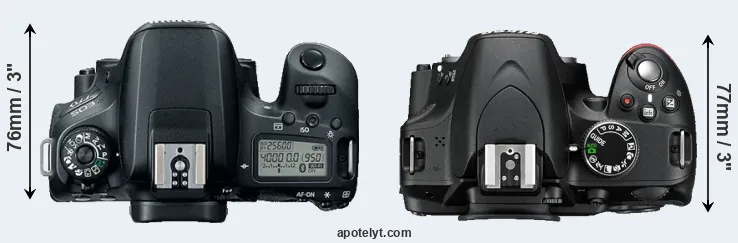 Compare 77D versus D3200 top