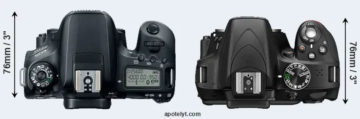 Compare 77D versus D3300 top