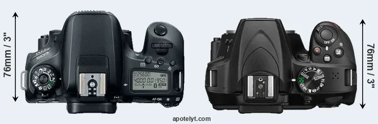 Compare 77D versus D3400 top