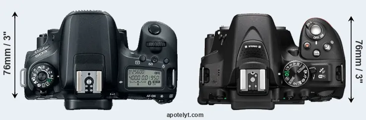 Compare 77D versus D5300 top
