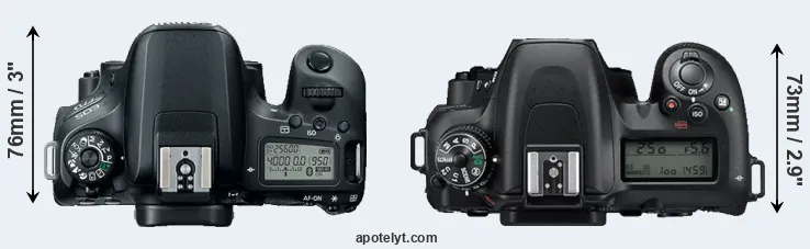 Compare 77D versus D7500 top
