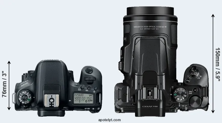 Compare 77D versus P950 top