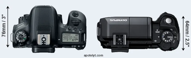 Compare 77D versus E-300 top