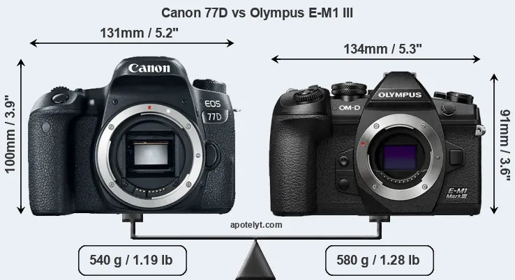 Size Canon 77D vs Olympus E-M1 III