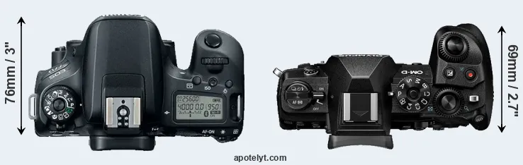 Compare 77D versus E-M1 III top
