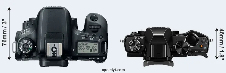 Compare 77D versus E-M10 top