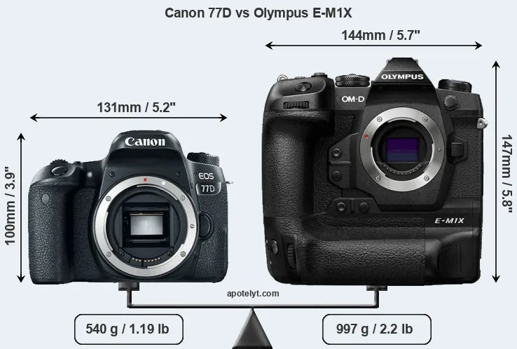 Size Canon 77D vs Olympus E-M1X