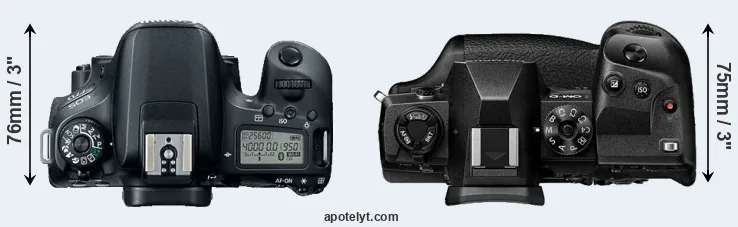 Compare 77D versus E-M1X top