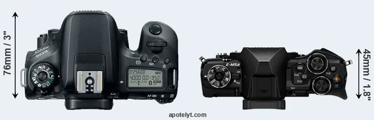 Compare 77D versus E-M5 II top
