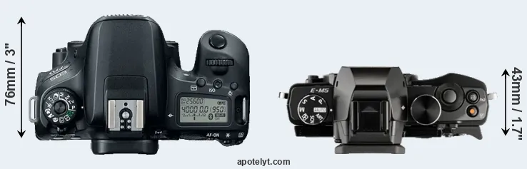 Compare 77D versus E-M5 top