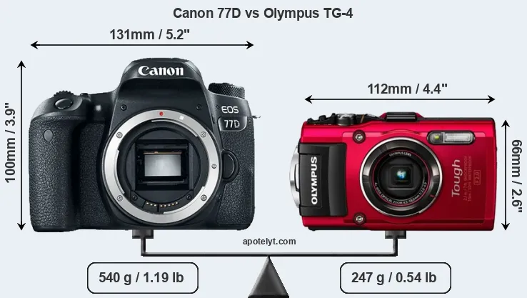 Size Canon 77D vs Olympus TG-4