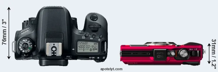 Compare 77D versus TG-4 top