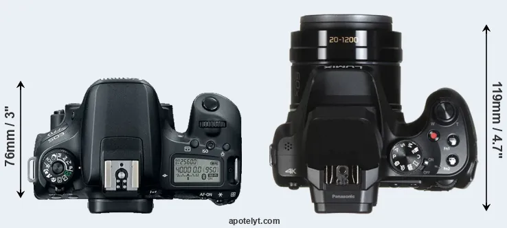 Compare 77D versus FZ80 top