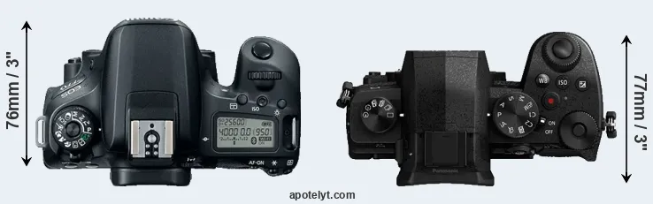 Compare 77D versus G95 top
