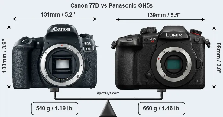 Size Canon 77D vs Panasonic GH5s