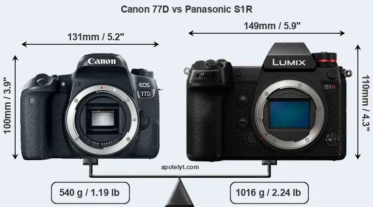 Size Canon 77D vs Panasonic S1R