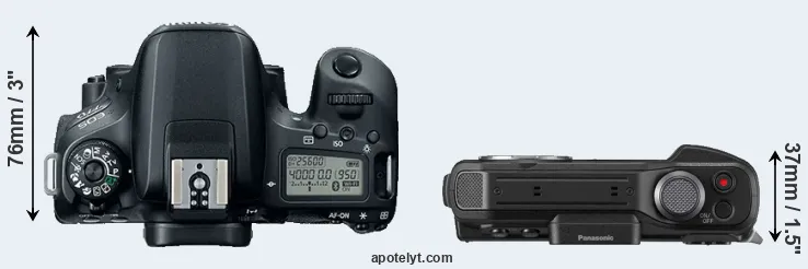 Compare 77D versus TS7 top