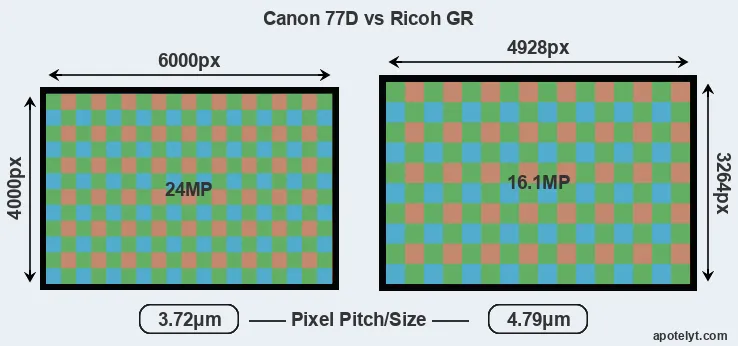 77D versus GR MP