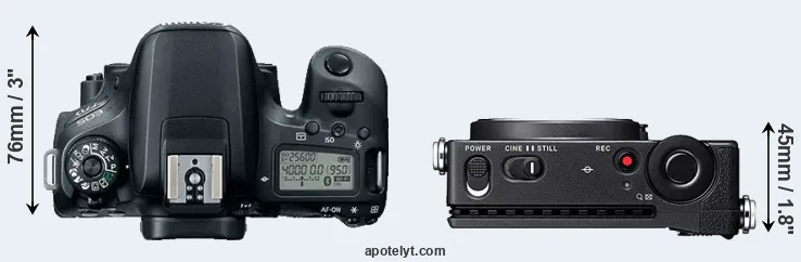 Compare 77D versus fp top