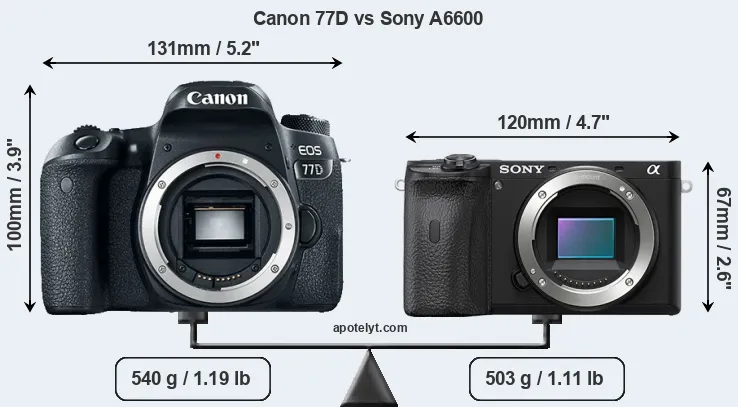 Size Canon 77D vs Sony A6600